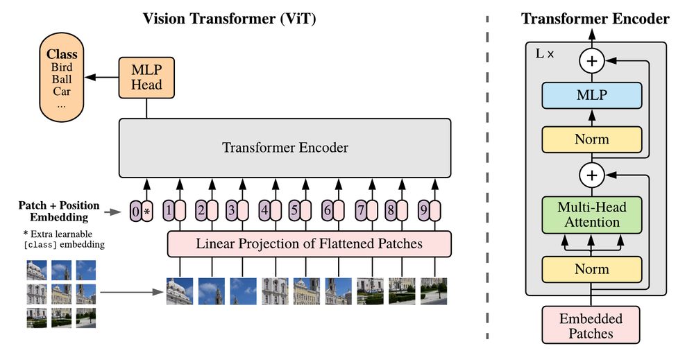 이미지를 패치로 나누고 선형 투영·위치 임베딩·class token을 거쳐 Transformer encoder와 분류기로 전달하는 ViT 구조